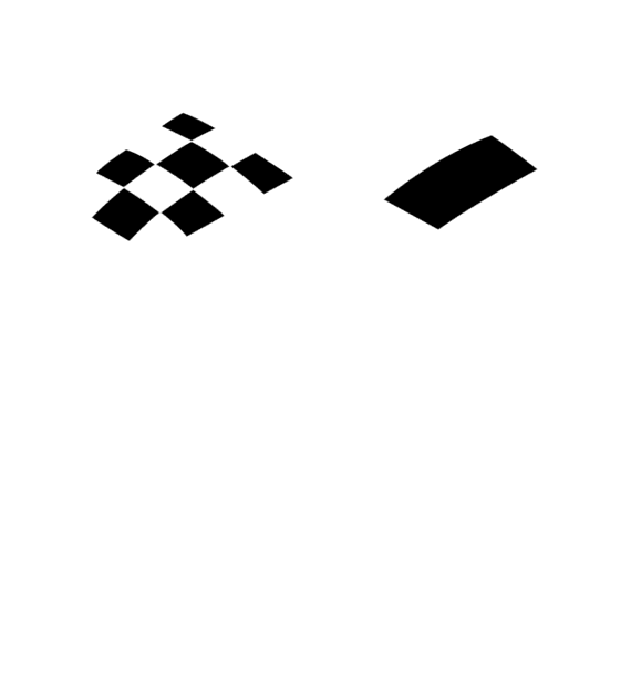 official-dealer-2021-wit